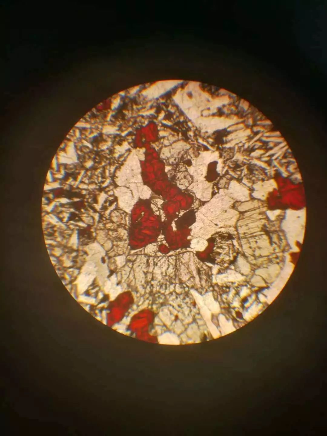 石榴子石显微镜图片