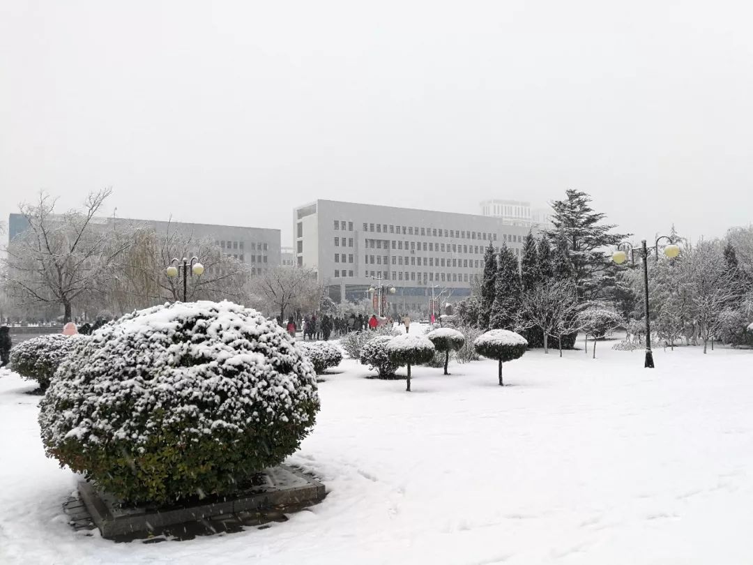 魯東大學蓬萊市民記者 王光祿攝↓↓↓雪景就刷爆了朋友圈一早醒來