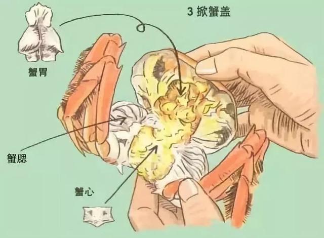 螃蟹吃法10步骤图解图片