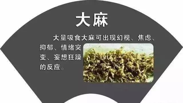 100种毒品图片 精神图片