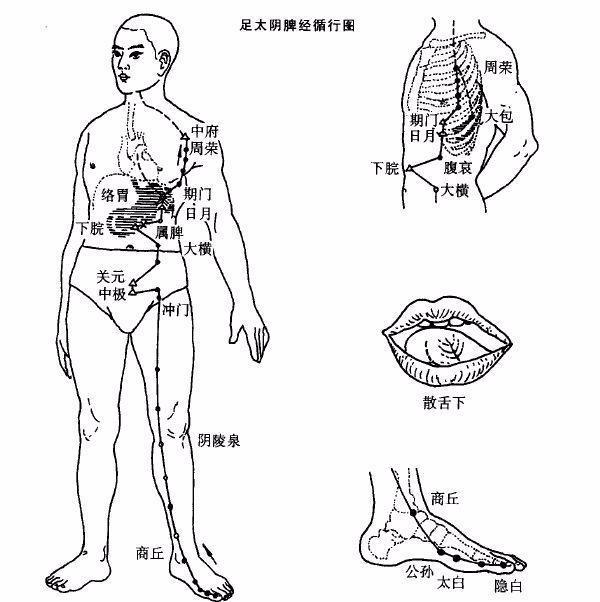 敲打脾经这时候可以常揉这些穴位健脾此外,脾虚还表现为腹胀纳少,食后