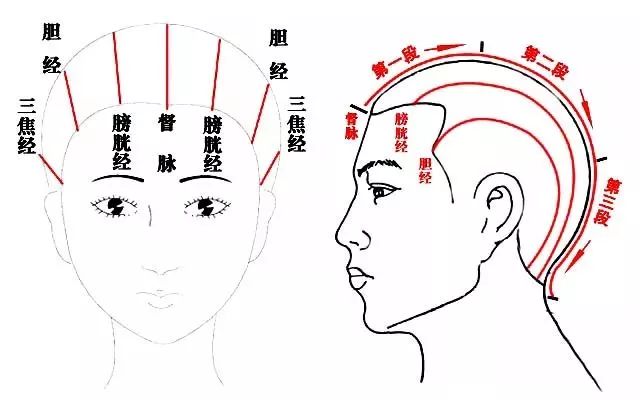 牙齿对应的五脏经络图图片