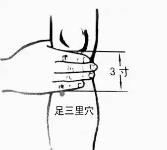 足三里:調氣血,脾胃1這個口訣深入淺出地概括了足三里,委中,列缺,合谷