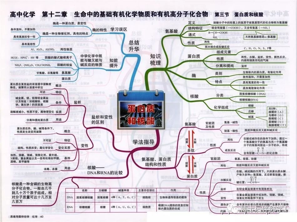 第二章 化學物質及其變化第一節 物質的分類第二節 離子反應第三節