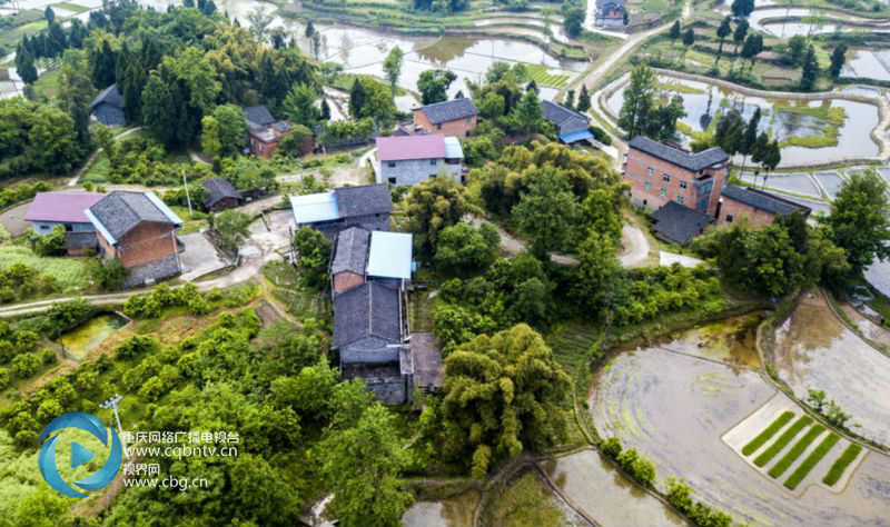 1/ 12 古塘村,位於重慶忠縣拔山鎮東北部,與花橋鎮,馬灌鎮相鄰,拔山至