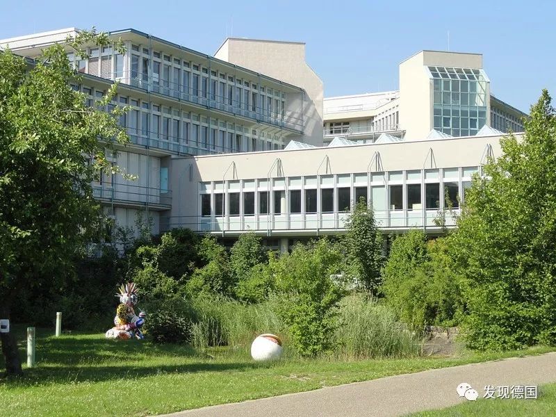 维尔茨堡大学