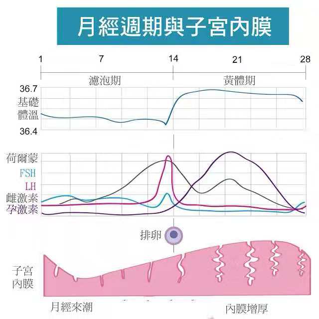 子宫内膜薄不易孕如何增加子宫内膜厚度