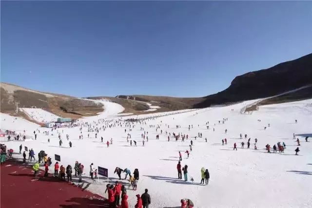 唐山冬日遊玩指南,滑雪,溫泉,賞景,採摘一網打盡!_遵化