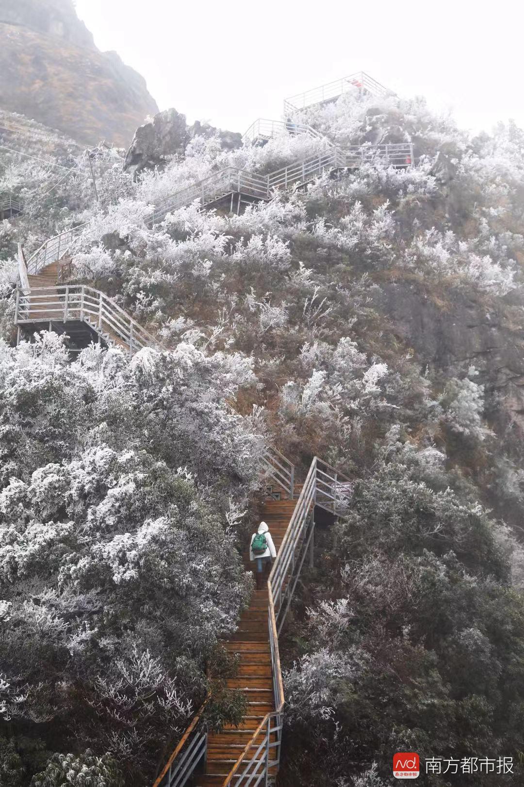 廣東有多冷：粵北山區最低氣溫零下4度，走著走著，就白了少年頭 商業 第10張