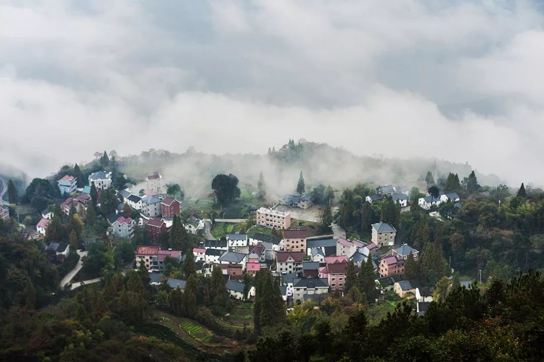 富阳又出"网红村|海拨500米,处处是景,随手一拍都是"大片"_景山村