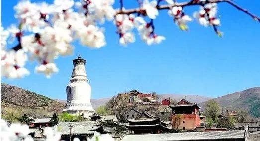 忻州市寧武縣迭臺寺鄉西溝村(2個)忻州市五臺縣豆村鎮閆家寨村忻州市