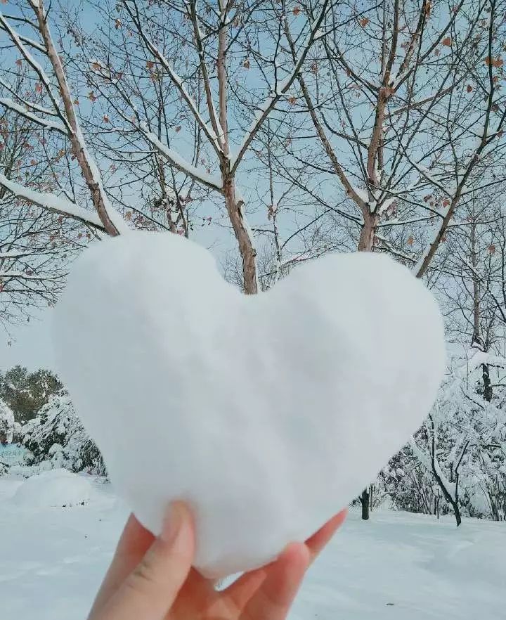 遇見| 初雪中的安財_雪花