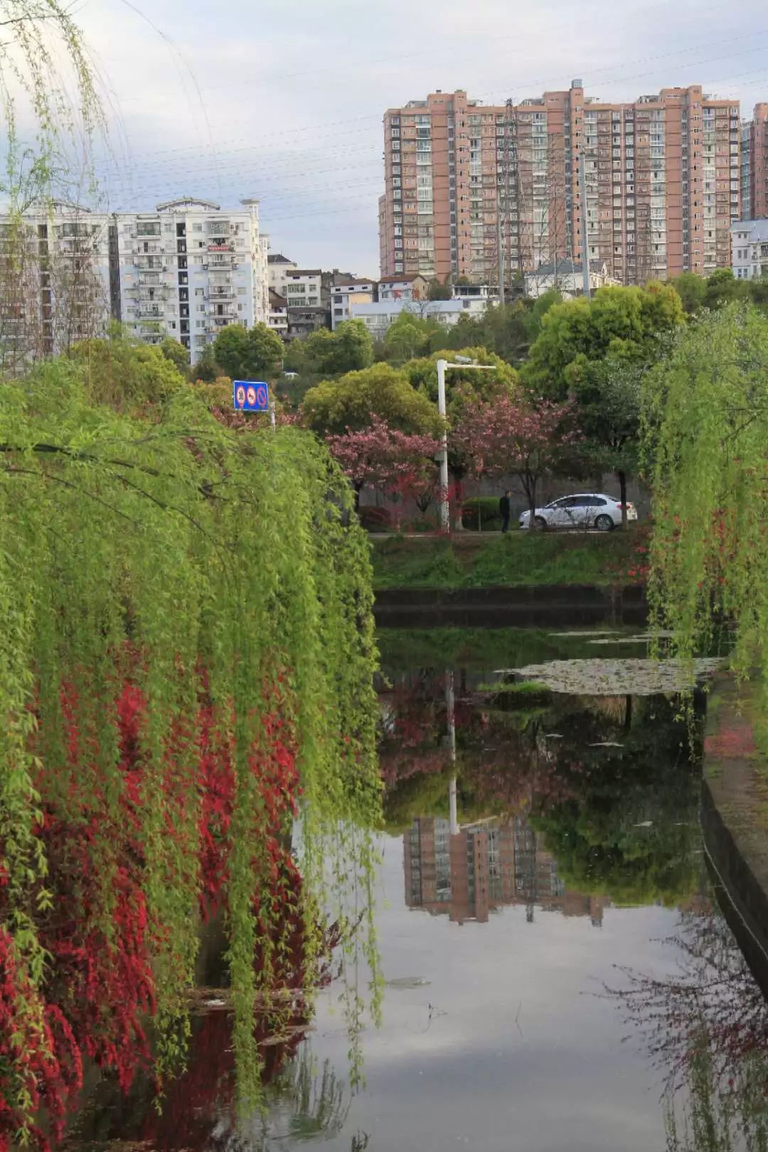 三峡大学翠屏山事件图片