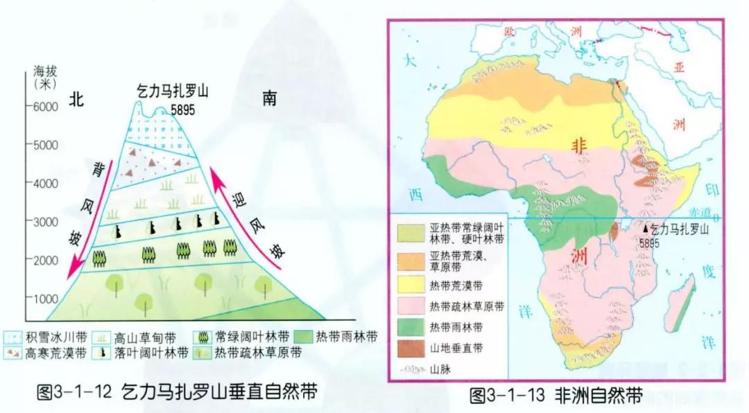 世界自然带分布规律图图片