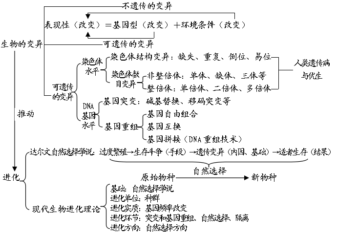 植物生命活动思维导图图片