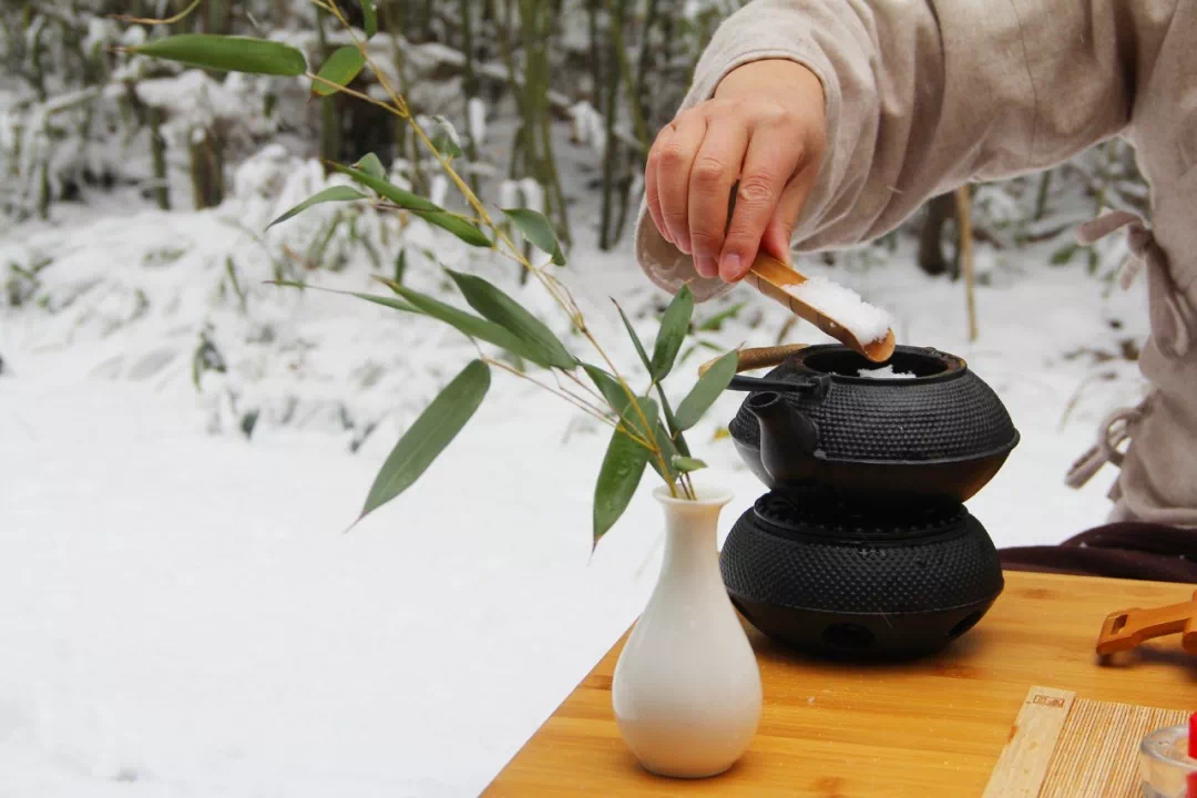 松针炖雪图片