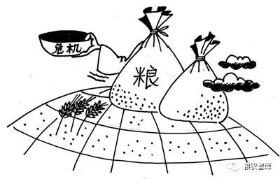 改革開放讓中國為確保糧食安全作出更大貢獻