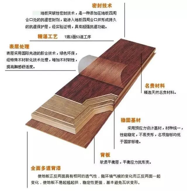 多层实木地板结构图图片