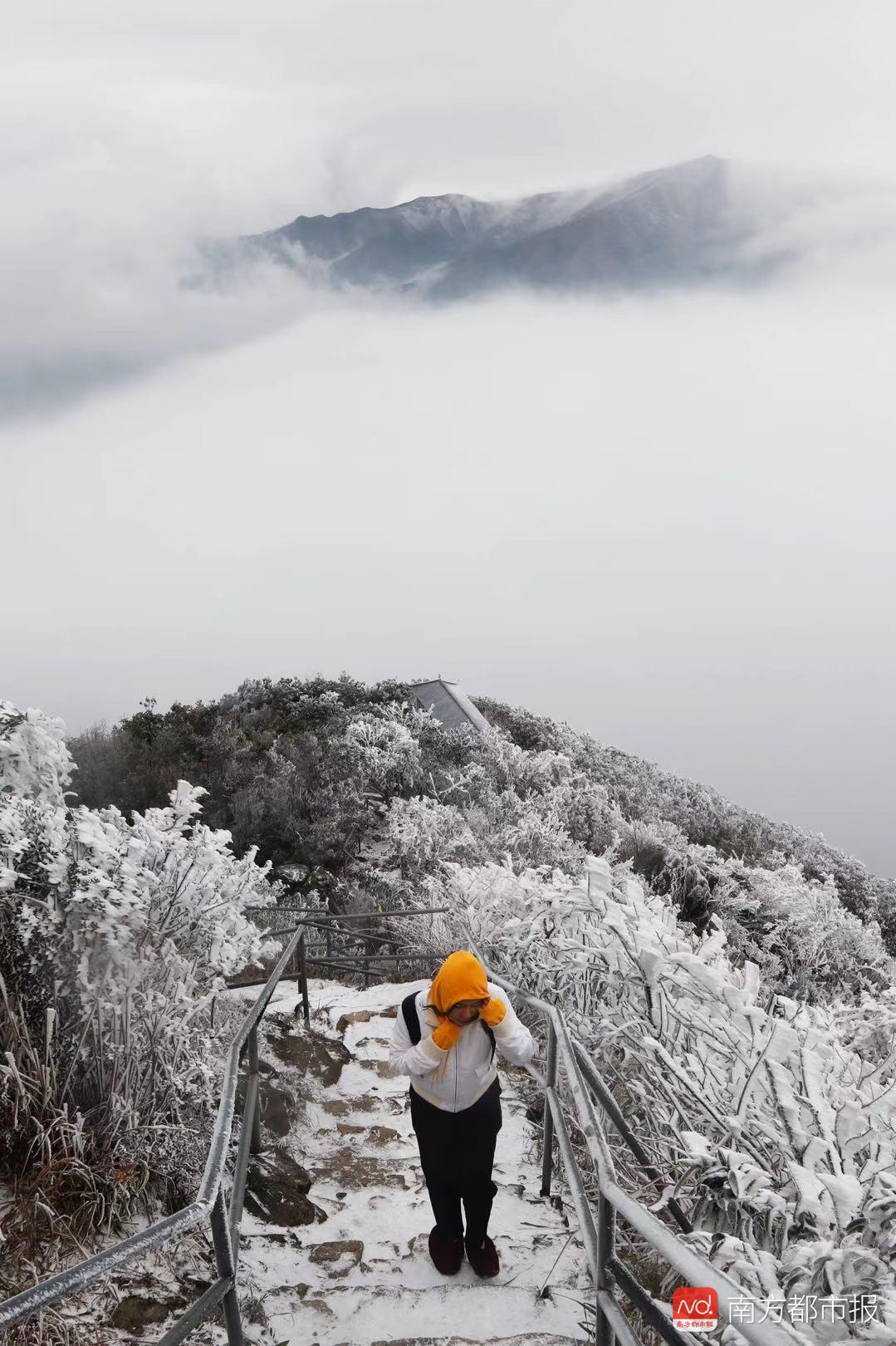 廣東有多冷：粵北山區最低氣溫零下4度，走著走著，就白了少年頭 商業 第2張