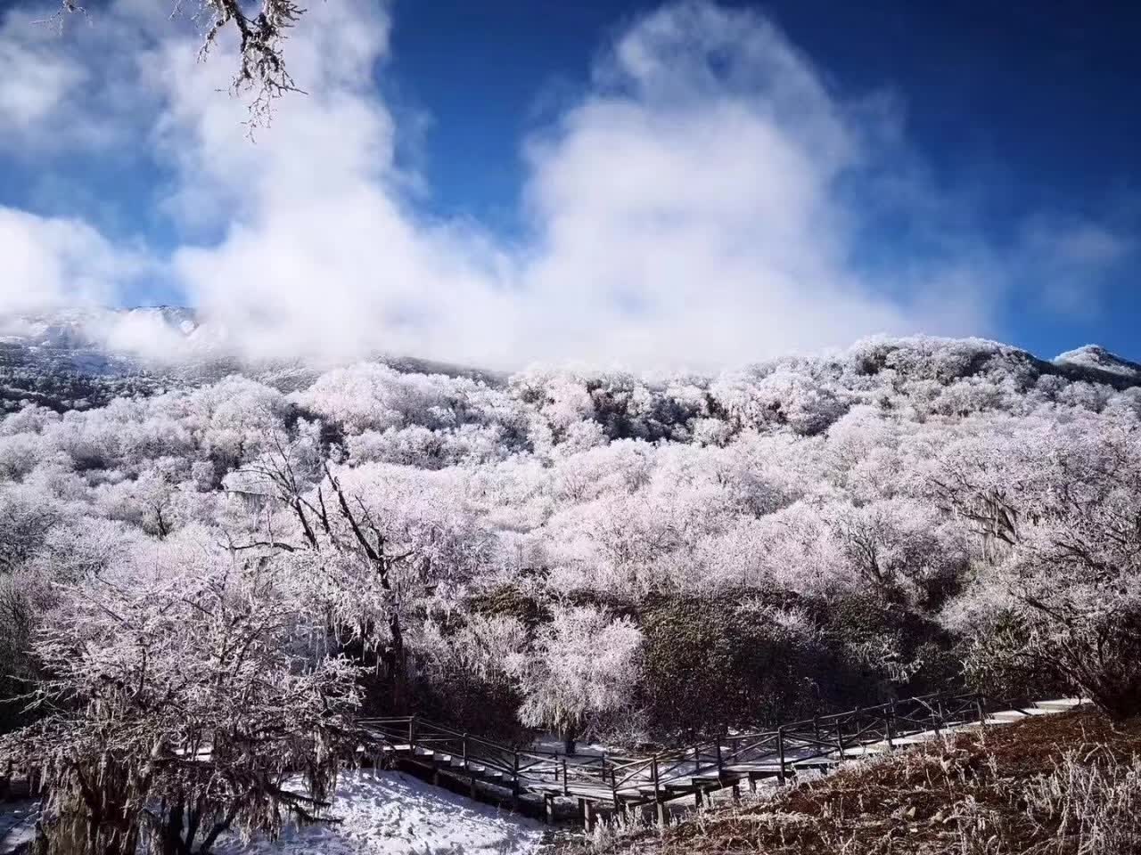 西岭雪山滑雪场诗云"窗含西岭千秋雪,冬季的西岭雪山更加具有了古诗