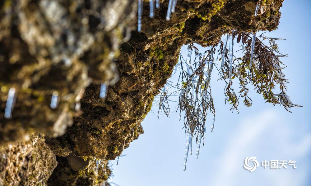 降雪后的瓦屋山美景如画(图/江帮富 文/李茜)