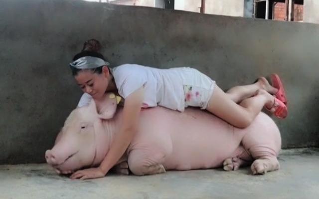 人和猪的合照图片情侣图片