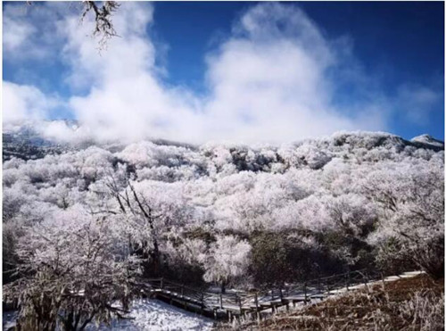 右轉過橋九鼎山風景區茂縣安鄉盤山公路(23公里)青龍坪太子嶺滑雪場