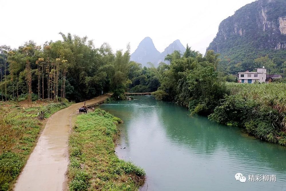 柳州市柳南区流山镇图片