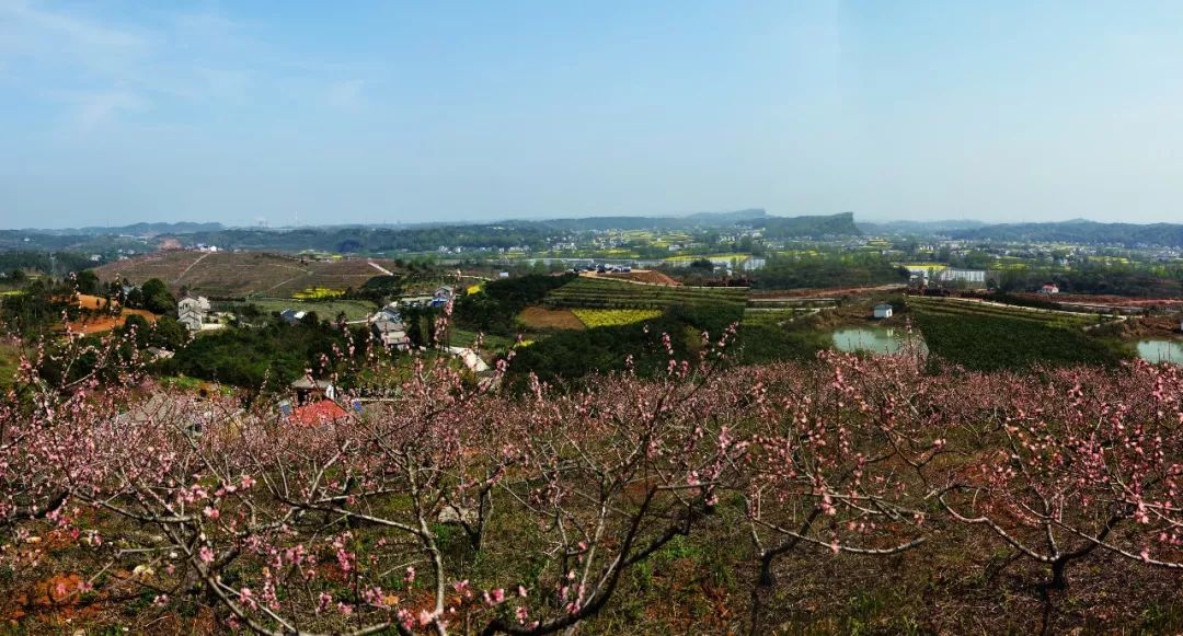 荆州桃花山生态园图片