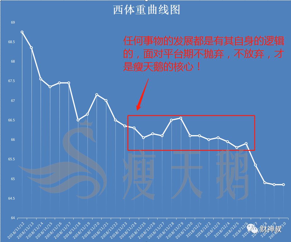 瘦天鹅:不要低估了自己的能力,更别高估了自己的耐力!