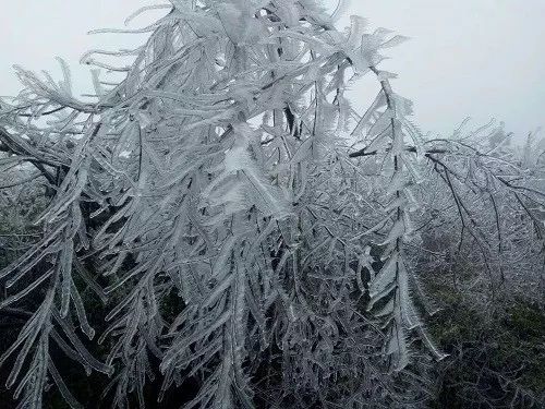 赣县宝莲山雪景图片