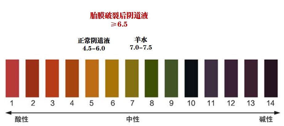 胎膜早破胎脂的图片图片