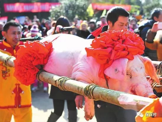 举行猪王大派送,年猪祭祀礼,转盘大抽奖,年猪拍卖会,民俗表演,赶年节