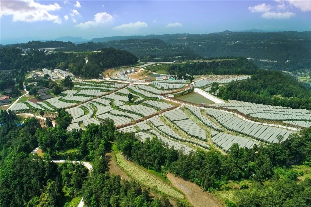 招募情况一,村基本情况朝阳村地处利川市谋道镇与万州市龙驹镇交界处