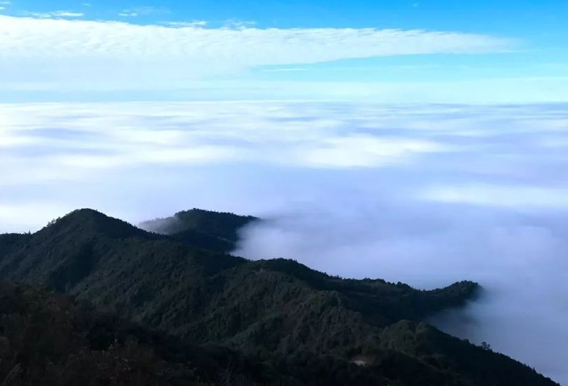 雲海一樣的景色雲海一樣的境界美哉東華山雲海