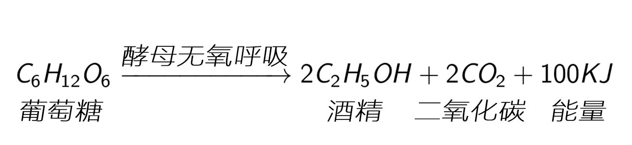 下图是酵母发酵产气的化学方程式