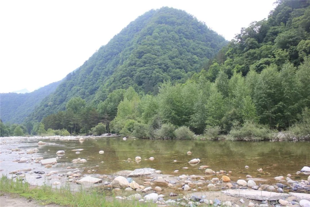 田峪口图片