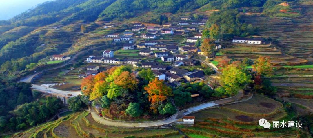 龙泉市屏南镇南垟村 龙泉市竹垟畲族乡盖竹村 龙泉市道太乡外翁村