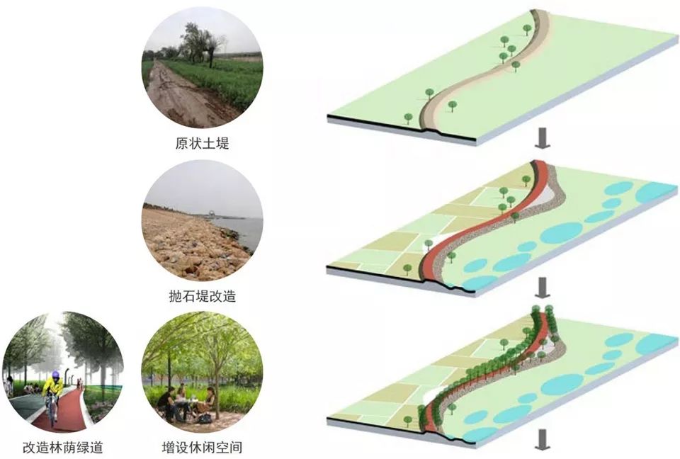 尚林苑溼地公園景觀設計渭柳溼地公園一方國際環境景觀