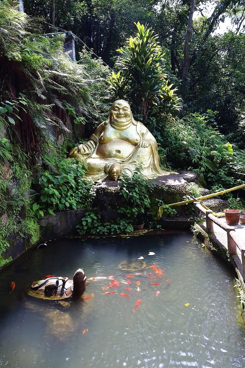 这一片红红火火的壮观太吸引人了吧游风景秀丽叱石景区绿护桃源吸氧