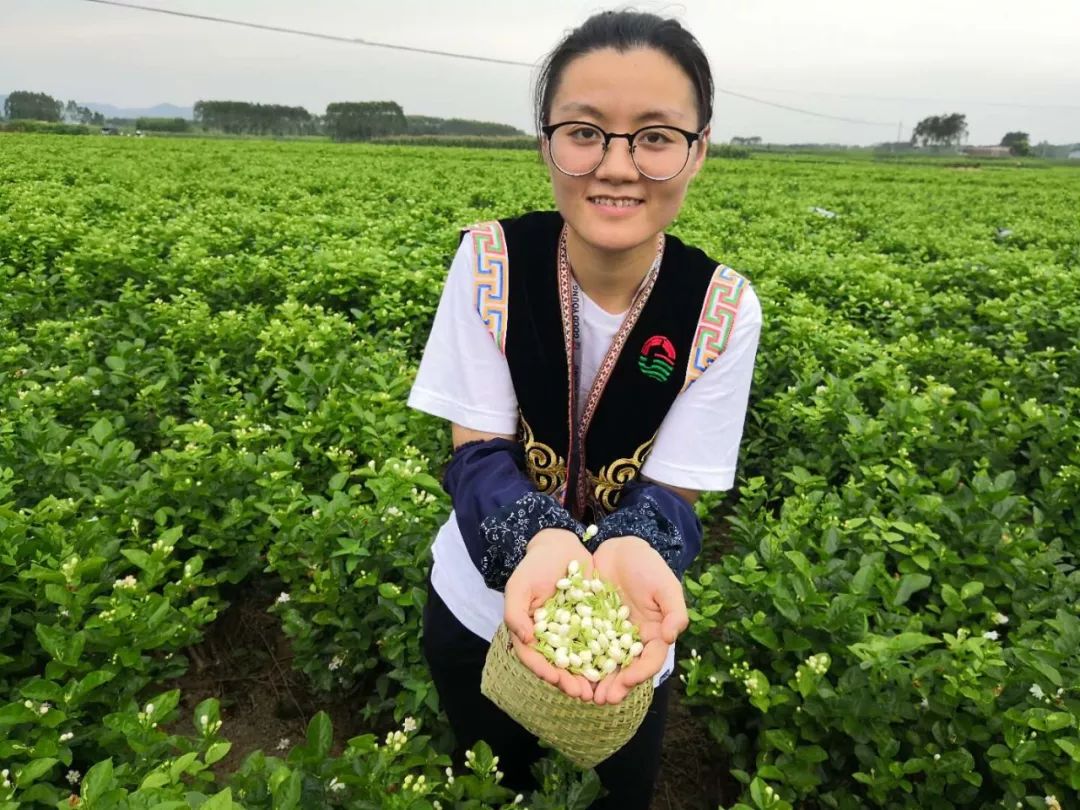 人;入口充盈甜润,奶油轻柔细腻78三窨茉莉搭配草莓蔓越莓 鲜奶雪顶