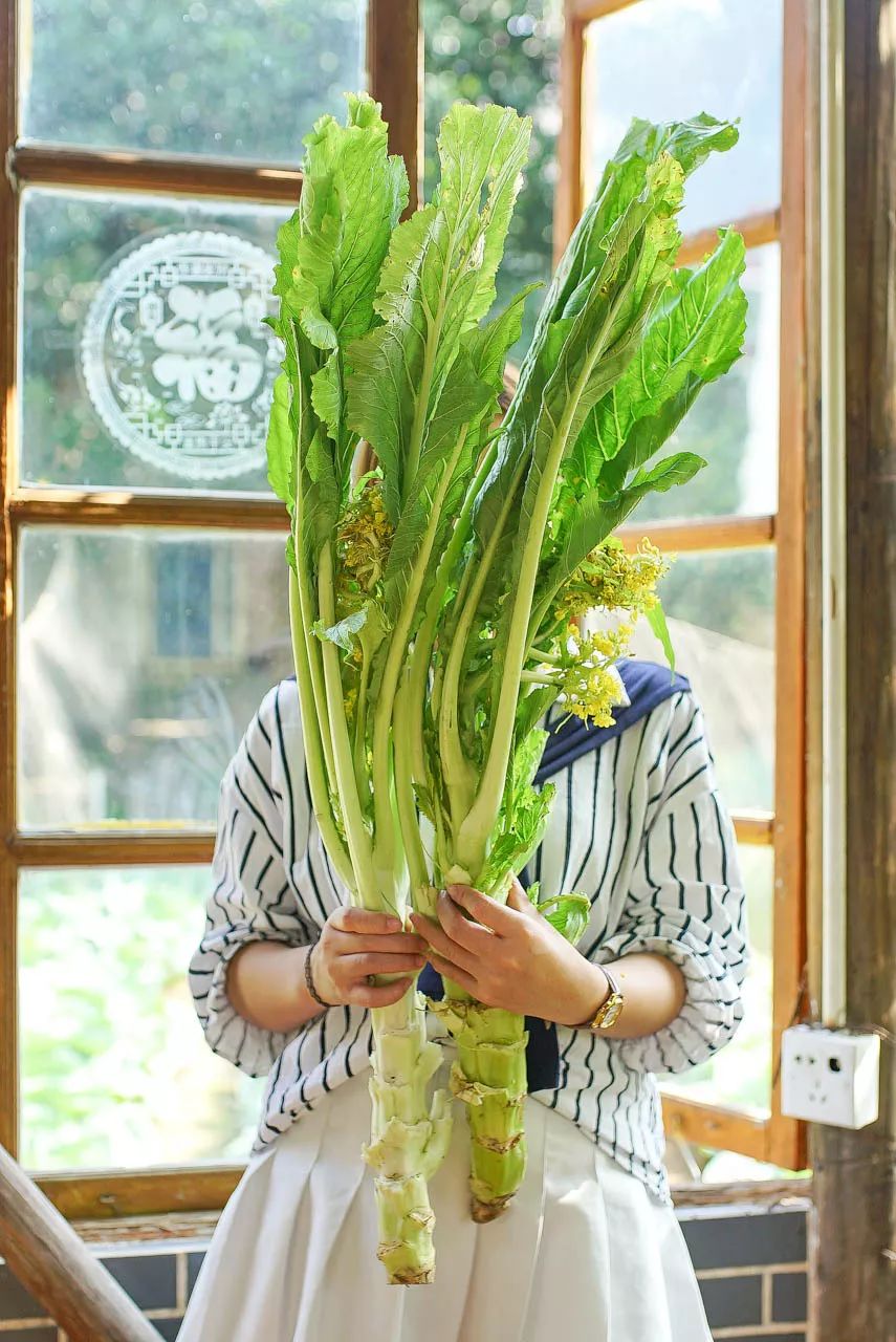 又到吃遲菜心的季節啦!訂位即送半打生蠔,人參蠔/魚桑拿超級抵食!