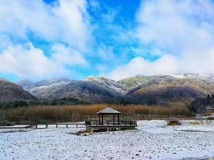 温雪景照片图片