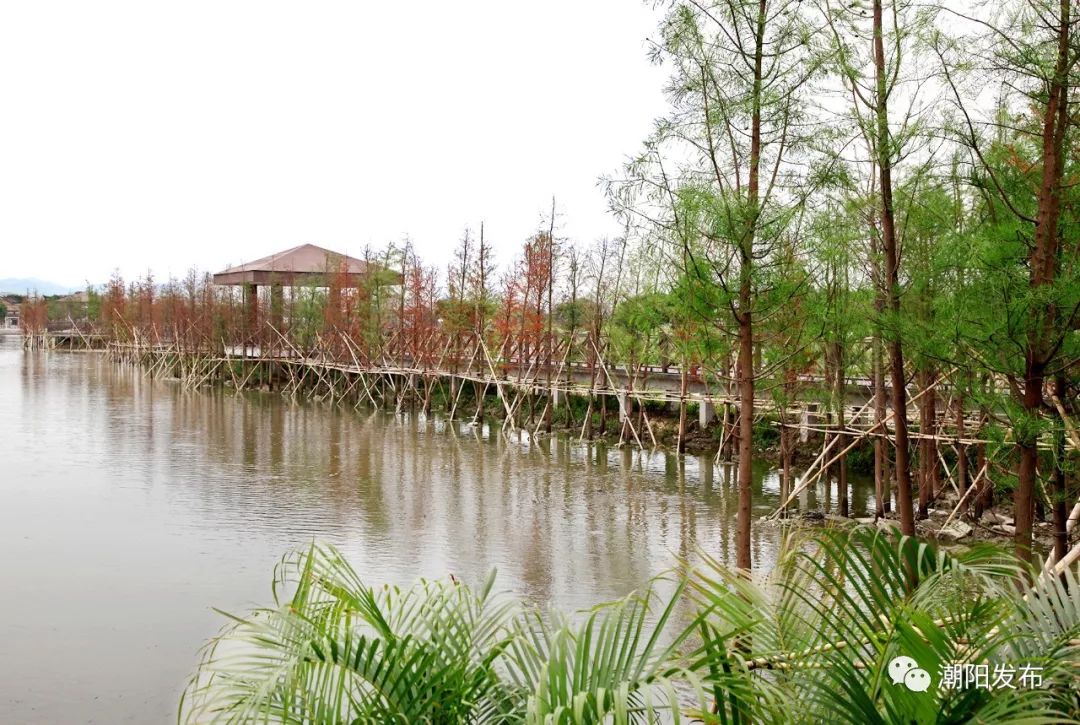 貴嶼有美麗的生態公園和溼地公園讓你流連忘返