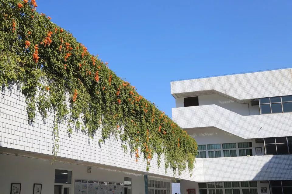 攀枝花学院第二教学楼图片