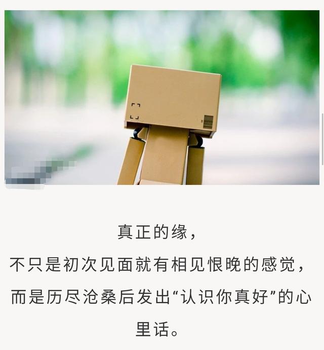 親愛的你是我情不自禁的牽掛相遇了就好好珍惜吧