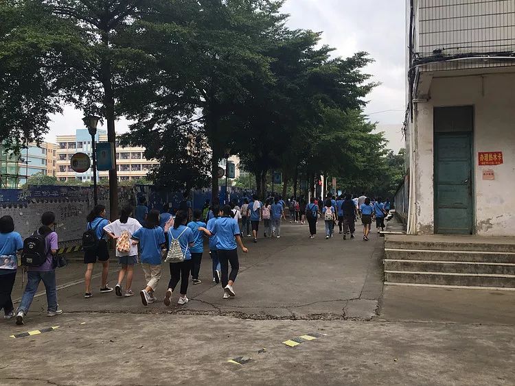 廣西鳳山縣唯一的高中,鳳山縣高級中學就曾創造了