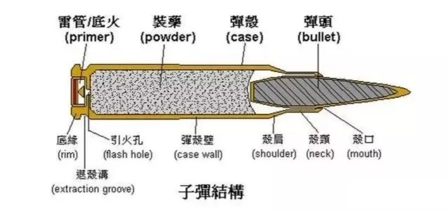 老外向冰冻的湖面开了一枪,接下来发生的事情,看懵了!