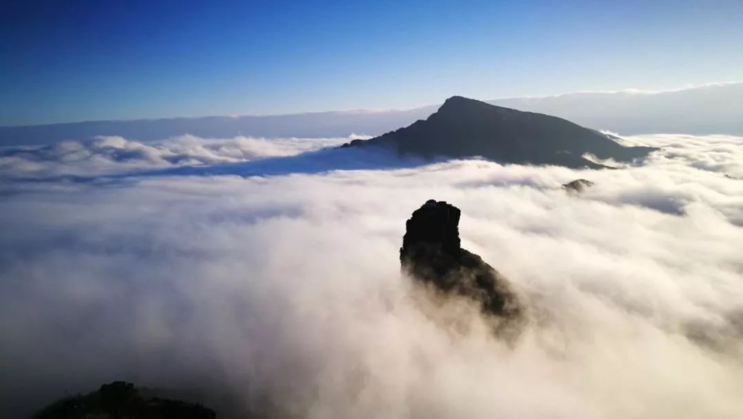 这么唯美的云海雾山,就像仙境遗落人间,还不赶快和ta到梵净山来个充满