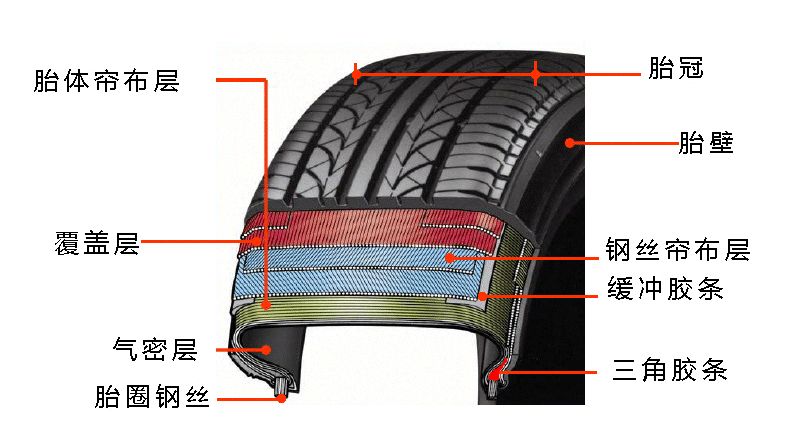 汽车轮胎结构图解剖图图片